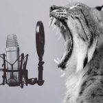 Bobcat Microphone Yelling Birthday Blank Meme Template