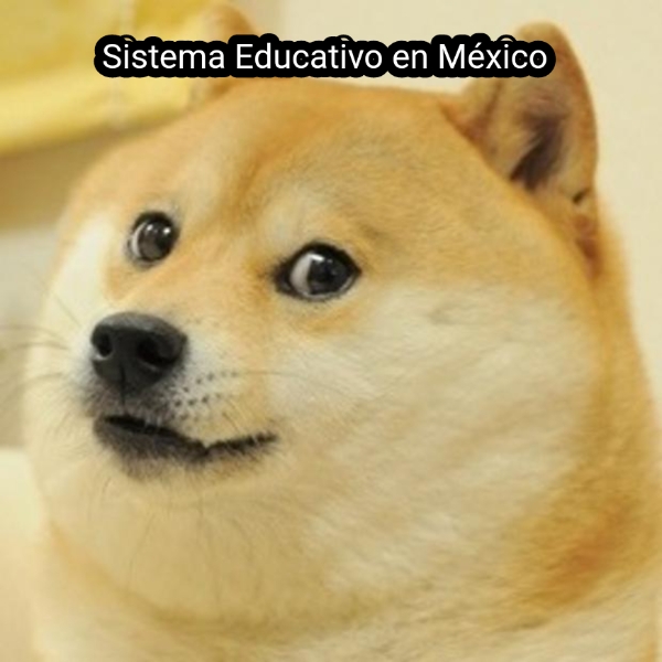 sistema educativo en mexico 508 1