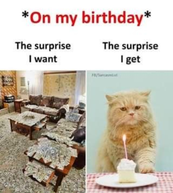 funny birthday cat meme 699 1